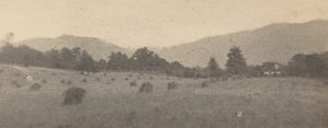 Landschap met bomen en bergen,c. 1900 (foto)