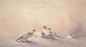 Sneeuwhoen, winter door Joseph Wolf