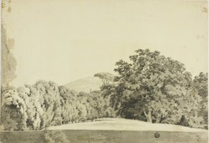 Bosrijk landschap door Joseph Wright of Derby