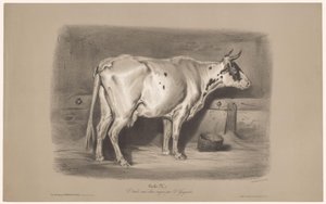 Koe in een stal door Joseph Zephyris Gengembre
