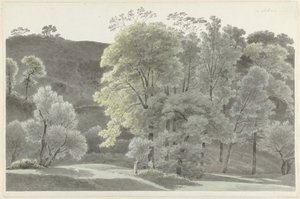 Bomen in de omgeving van Subiaco