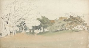 Bomen bij Hastings