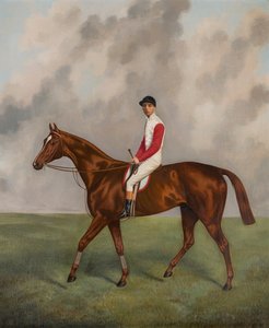 Sir Hugo-Winnaar van de Derby van 1892, c.1892 door Joshua Dighton
