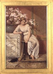 De pauwenveer