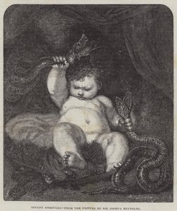 Kleine Hercules