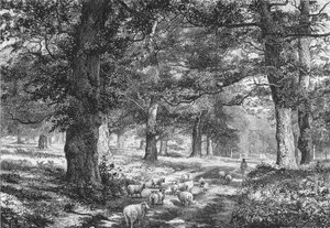 In Sherwood Forest, ca. 1875
