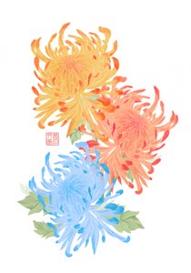 Levendige Aziatische chrysanten