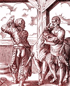 Een slager - Voedsel en koken in de Middeleeuwen. Gravure door Jost Amman (1539-1591). Gravure 1878 door Jost (after) Amman