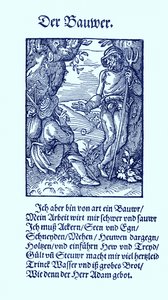 Boer