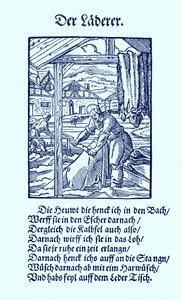 Leerlooier