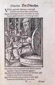 Oliemaker, illustratie uit de Latijnse editie van 