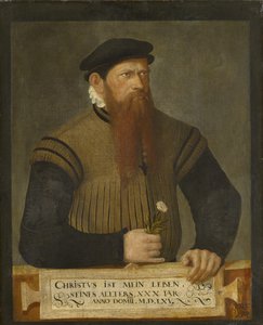 Portret van een bebaarde man, 1565