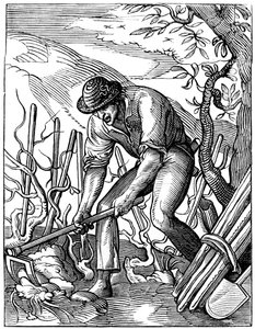 Wijnmaker, 16e eeuw, 1849