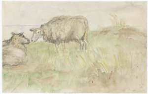 Twee schapen