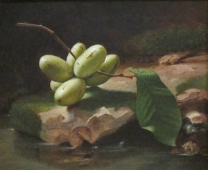 Stilleven met Paw Paws door Jr. Edward Edmondson