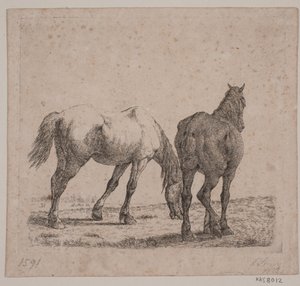 Twee paarden door Jørgen V. Sonne
