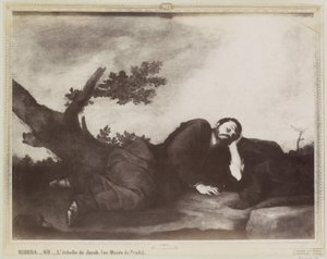 De droom van Jakob