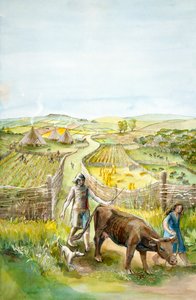 Landelijk Landschap door Judith Dobie