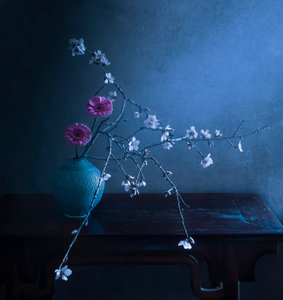  door Judy Tseng