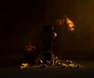  door Judy Tseng