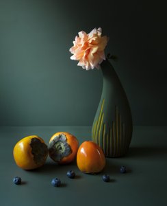  door Judy Tseng