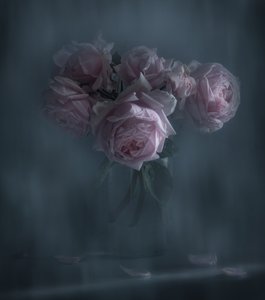 Stemmige roze rozen door Judy Tseng