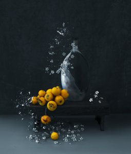  door Judy Tseng
