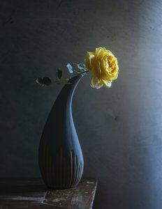  door Judy Tseng