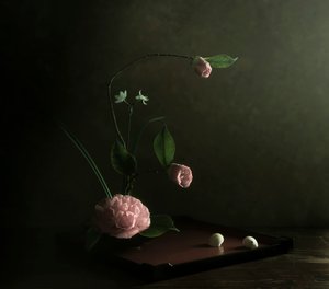  door Judy Tseng