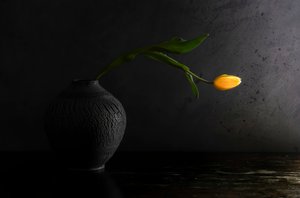  door Judy Tseng
