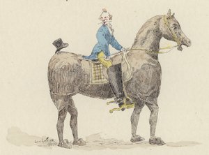 Clown op kostuum paard