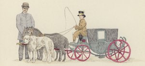 Koets van dwergen