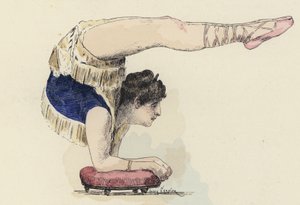 Vrouwelijke gymnast doet elleboogstand