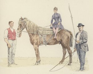 Paardentrainers