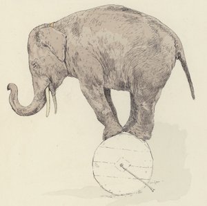 Olifant in balans