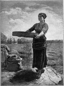 Raapscherm: naar het schilderij van Jules Breton. In 