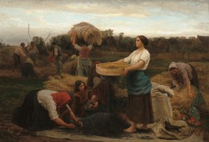 De Colza (Oogsten van Koolzaad)