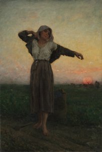 De vermoeide arenlezer