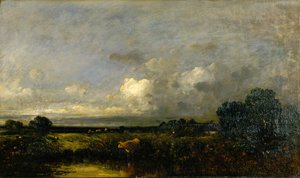 Landschap met koe