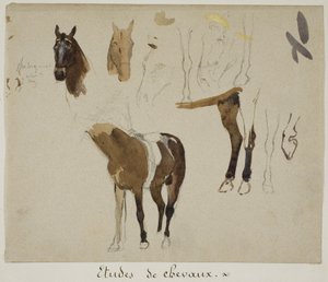 Studies van paarden