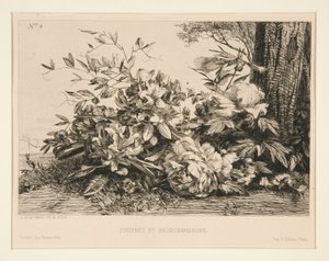Pioenen en Rododendrons door Jules Ferdinand Jacquemart