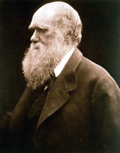 Charles Darwin, Britse natuuronderzoeker, ca. 1870s door Julia Margaret Cameron