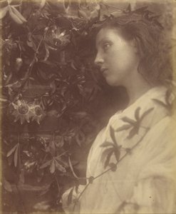 Maud Er is een prachtige traan gevallen van de Passiebloem bij de Poort door Julia Margaret Cameron