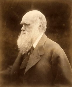 Portret van Charles Darwin, 1868