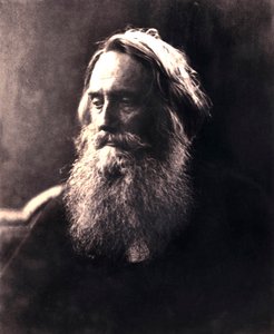 Sir Henry Taylor, 19e eeuwse Engelse dramaturg door Julia Margaret Cameron