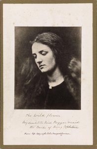 De wilde bloem door Julia Margaret Cameron