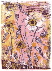 son sine sole iris, 2016 (zeefdruk) door julia McKenzie