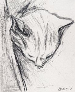 Slapende Kat