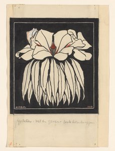 Godetia door Julie de Graag (signed by artist)
