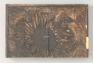 Zonnebloem